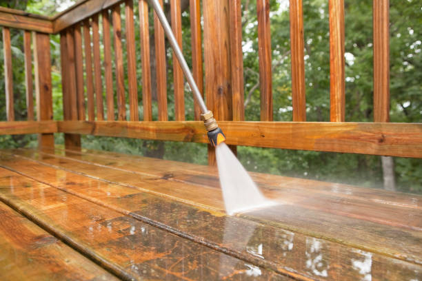 Best Roof Power Washing Services  in Earlysville, VA